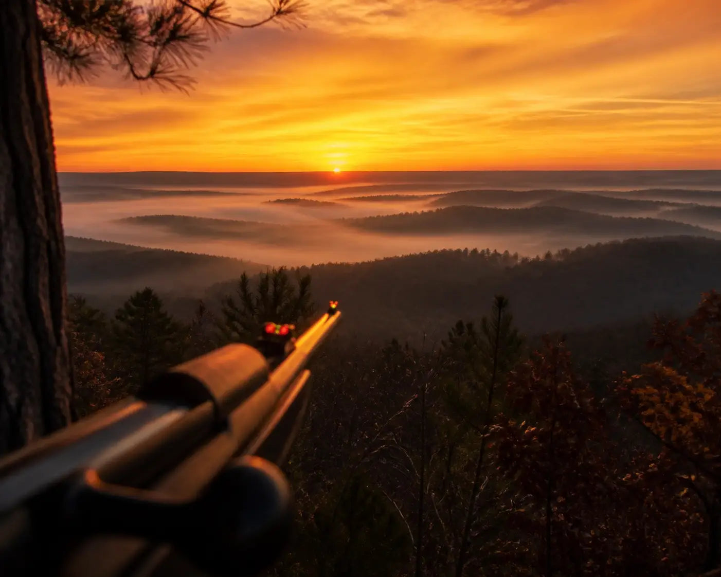 Hunting treestand view of a misty valley at sunrise representing prayer and gratitude in the wild.