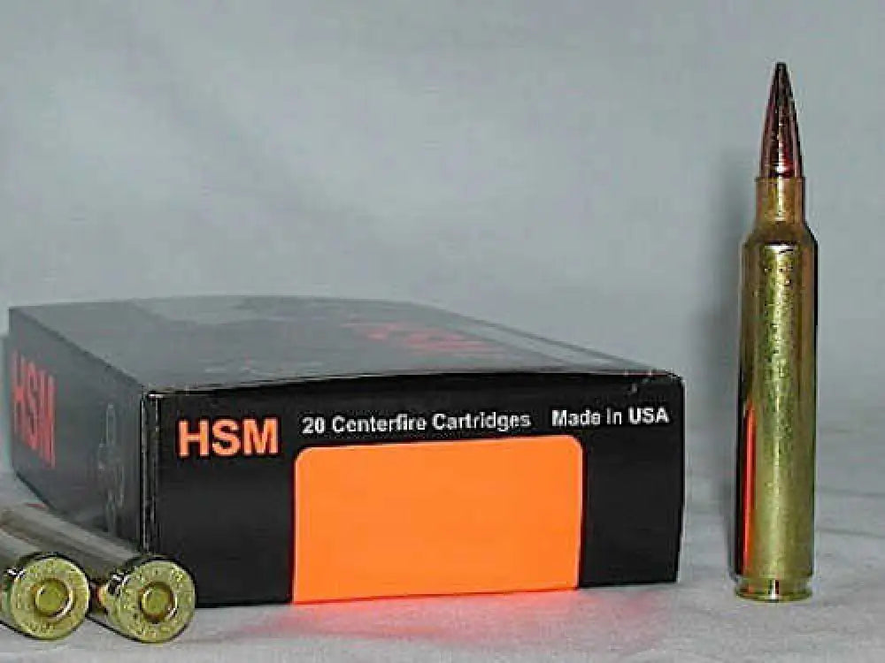 300 Winchester Magnum 210 Grain Hollow Point Ammo 20 Rounds - Rifle
