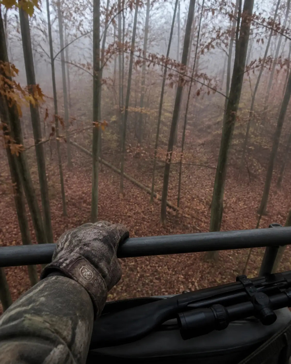 The view from a hunting tree stand during a peaceful, foggy morning, representing contemplative stillness.