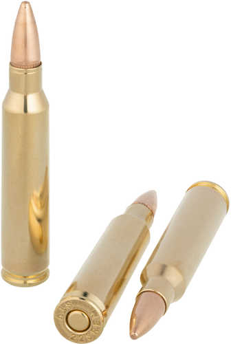 Scorpio Ammo 223 Remington 55 Grain FMJ 20 Round Box