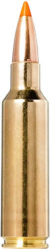 Norma Tipstrike 300 WSM 170 Grain Ammo 20 Round Box
