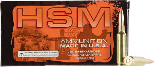 HSM Tipping Point 2 Shock Tip 300 Win Mag SST Ammo 20 Box