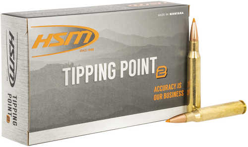 HSM Tipping Point Hornady SST 280 Rem 162 Grain Ammo Box