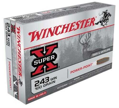 243 Winchester 100 Grain Soft Point Hunting Ammo, 20 Rounds