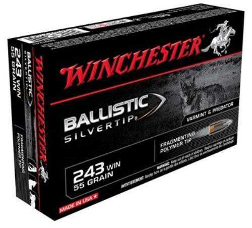 243 Winchester 20 Rounds 55 Grain Ballistic Tip Ammo