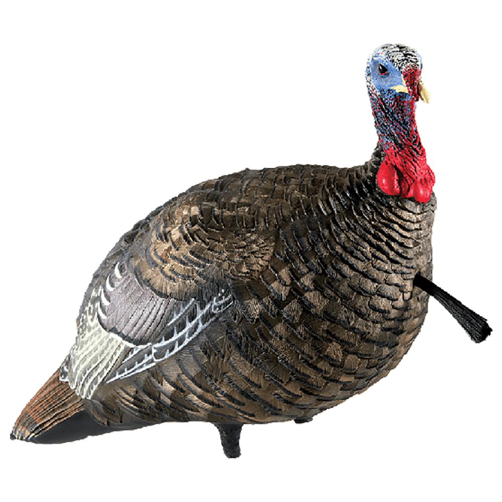 AVIAN Turkey Decoys AVIAN Avian-X LCD Quarter-Strut Jake Turkey Decoy