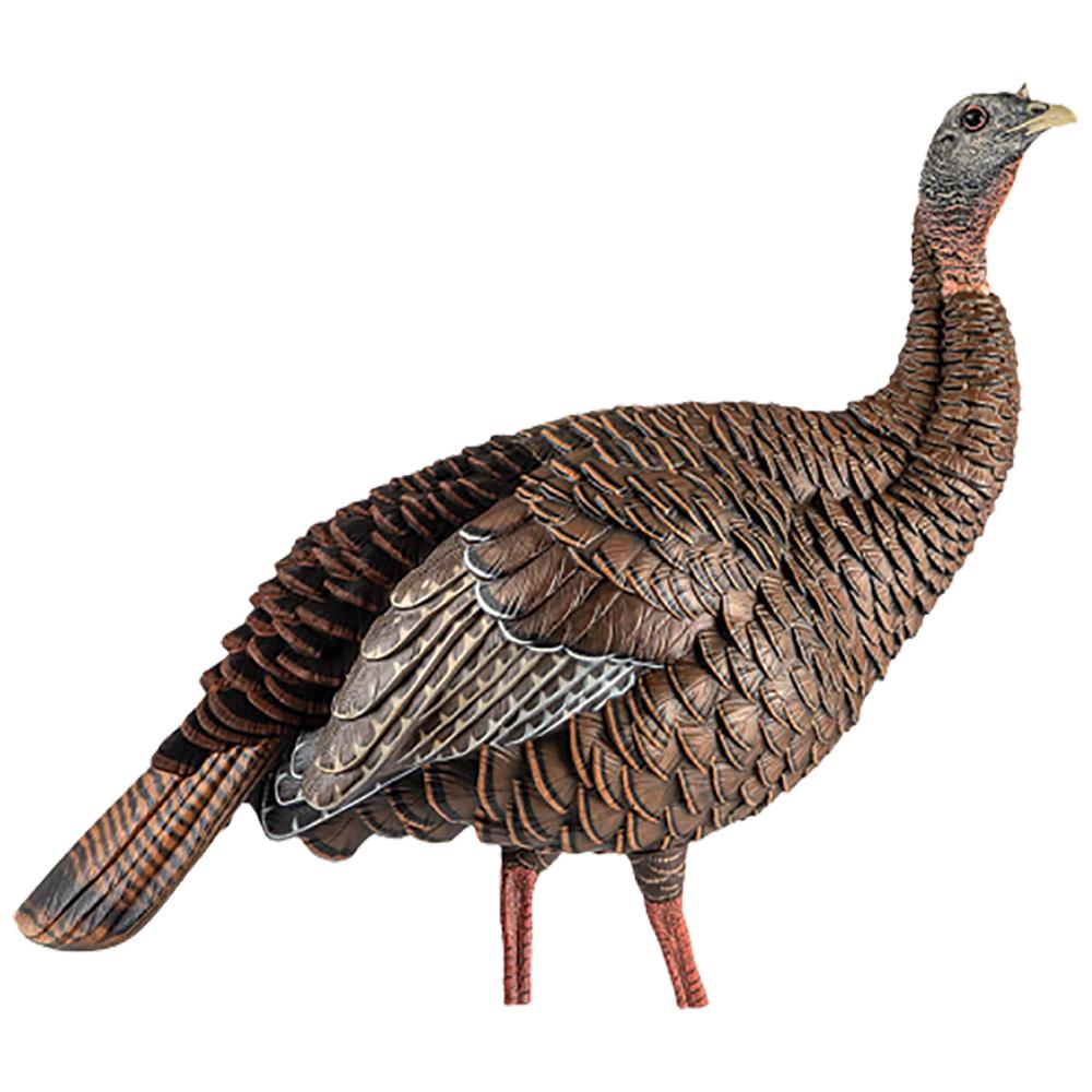 AVIAN Turkey Decoys AVIAN Avian-X HDR Hen Turkey Decoy