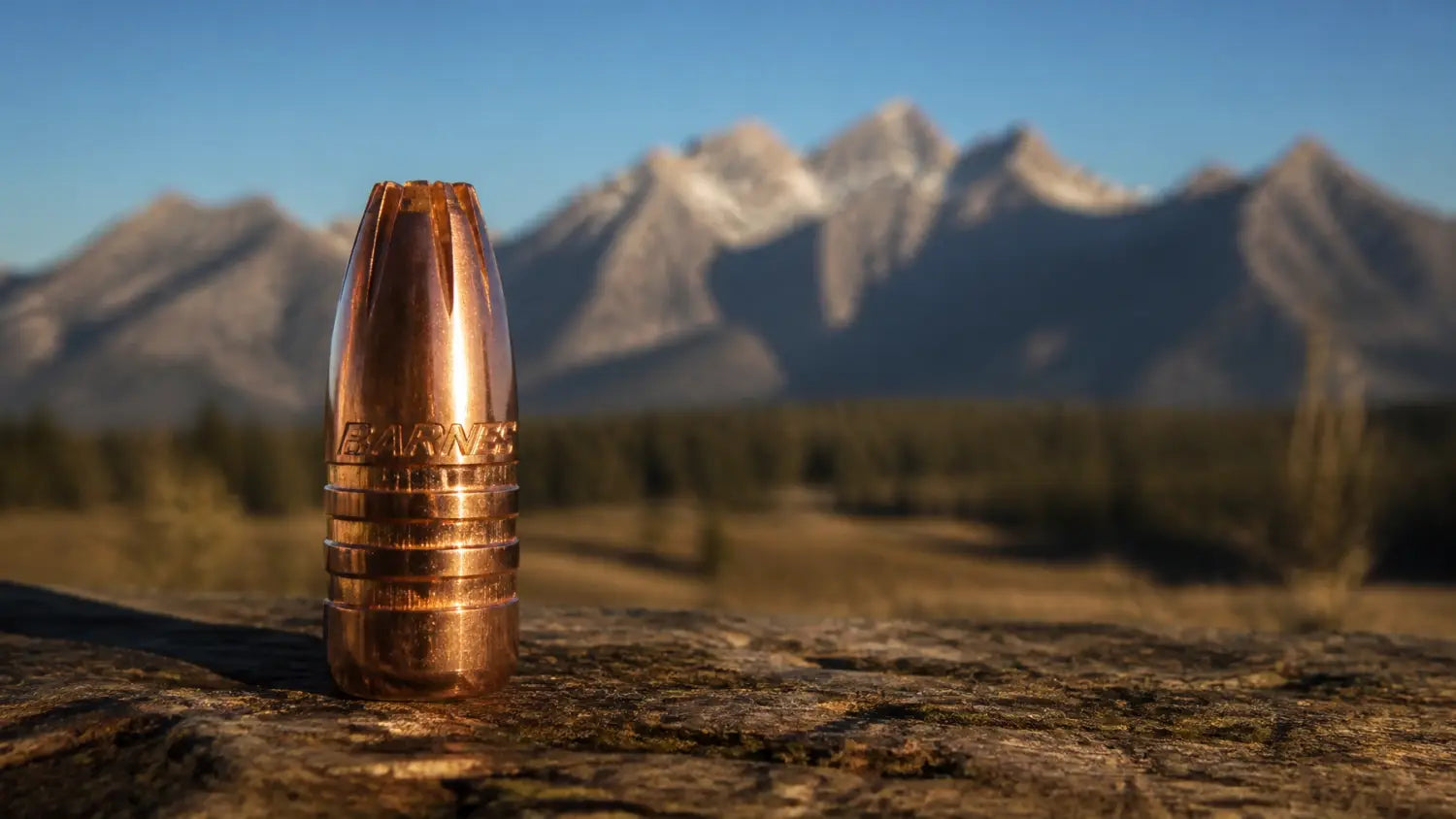 A premium Barnes bullet in the golden sun, highlighting the precision required for an ethical hunt.