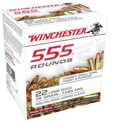 Winchester 22 Long Rifle 555 Rounds Ammunition - 36 Grain Plated Hollow Point for Maximum Performance