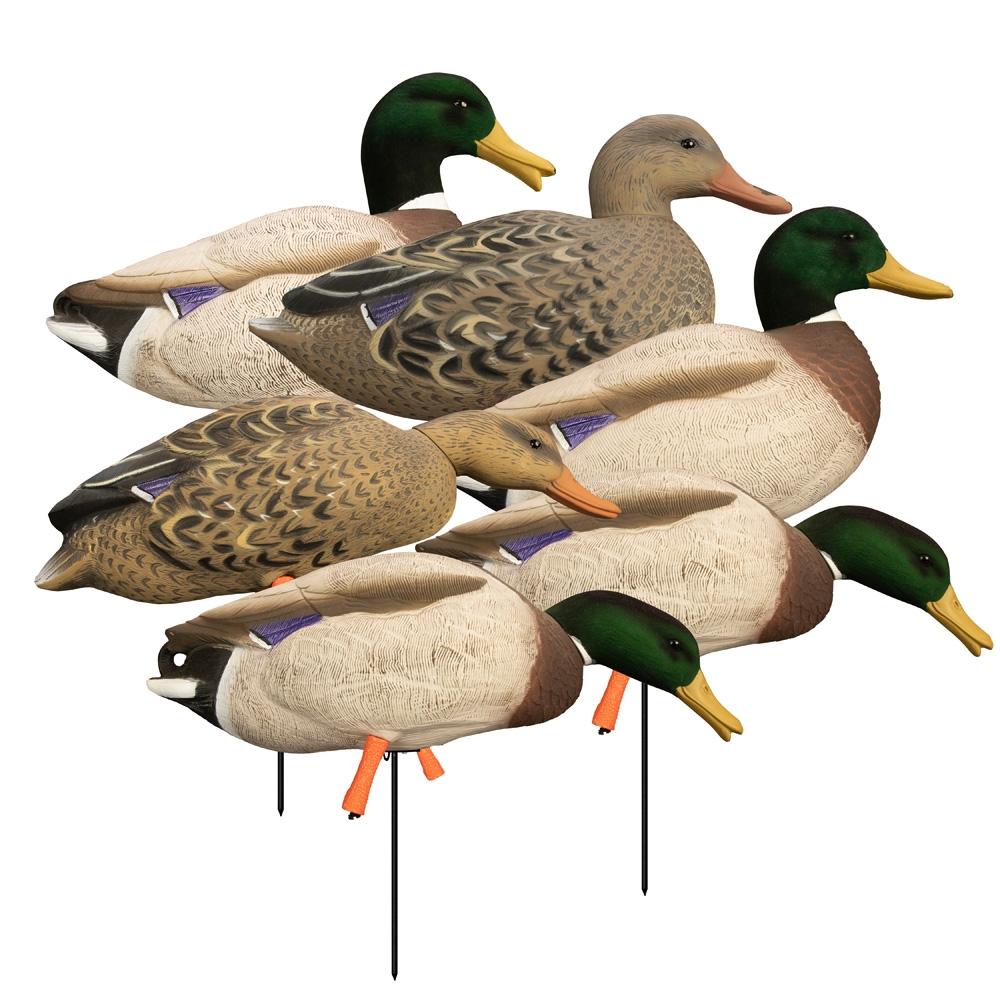 Higdon Outdoors Duck Decoys Higdon Outdoors Higdon Outdoors Magnum Full Body Mallard Variety Pack Flocked Heads 6pk