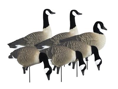 Higdon Outdoors Goose Decoys Higdon Outdoors Higdon Outdoors APEX Full-Size Full-Body Variety Pack - Canada Goose
