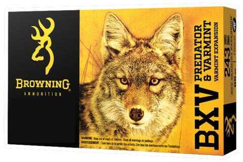 Browning 22-250 Rem 50Gr Polymer Tip Boat Tail Ammo 20Rd