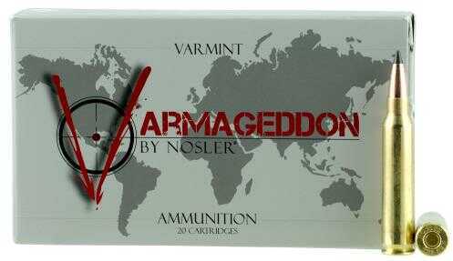 Nosler 223 Remington 53gr Varmageddon Hollow Point 20 Rounds