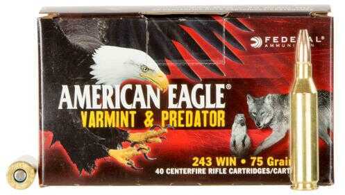 Federal 243 Winchester 75 Grain Jacketed HP Ammo 40 Rounds