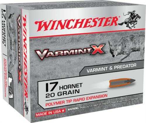 Winchester 17 Hornet 20 Grain Ballistic Tip Ammo 20 Rounds