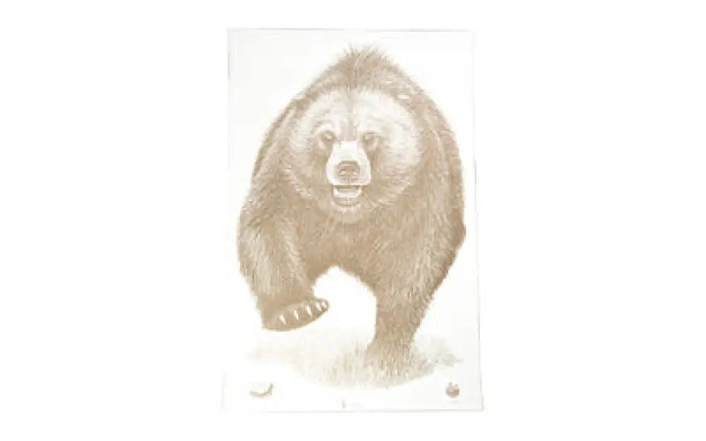 Action Target Ak State Park Bear 100 Pack Buy at Faith and Freedom Outdoors - Paper Targets