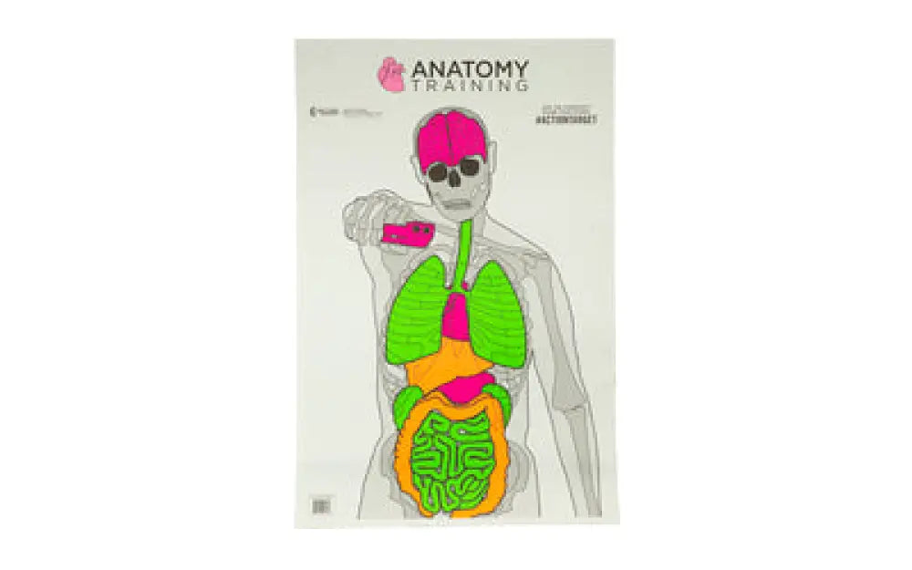 Action target anatomy sheet with vibrant organ highlights