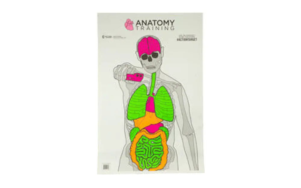 Action Target Anatomy Trng 100 Pack Buy at Faith and Freedom Outdoors - Paper Targets