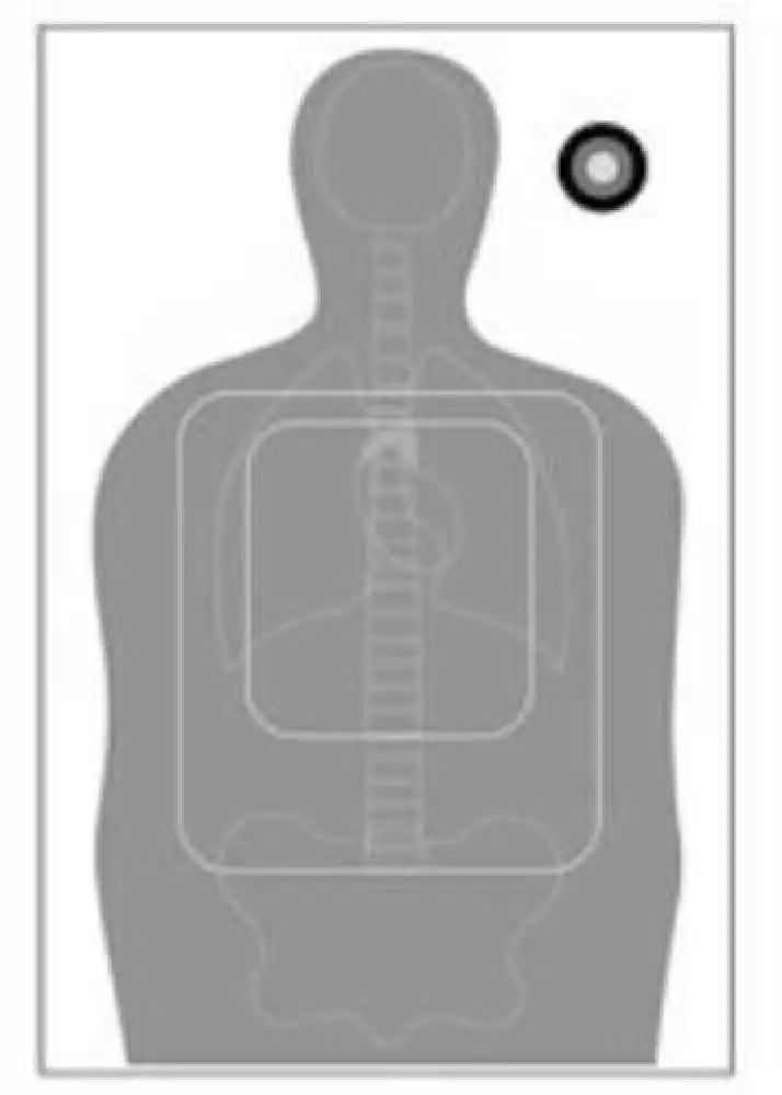 Action Target Inc Ftq15antav2100 Tq-15 Qualification Paper 23’’ x 35’’ Silhouette/vitals Black/gray 100