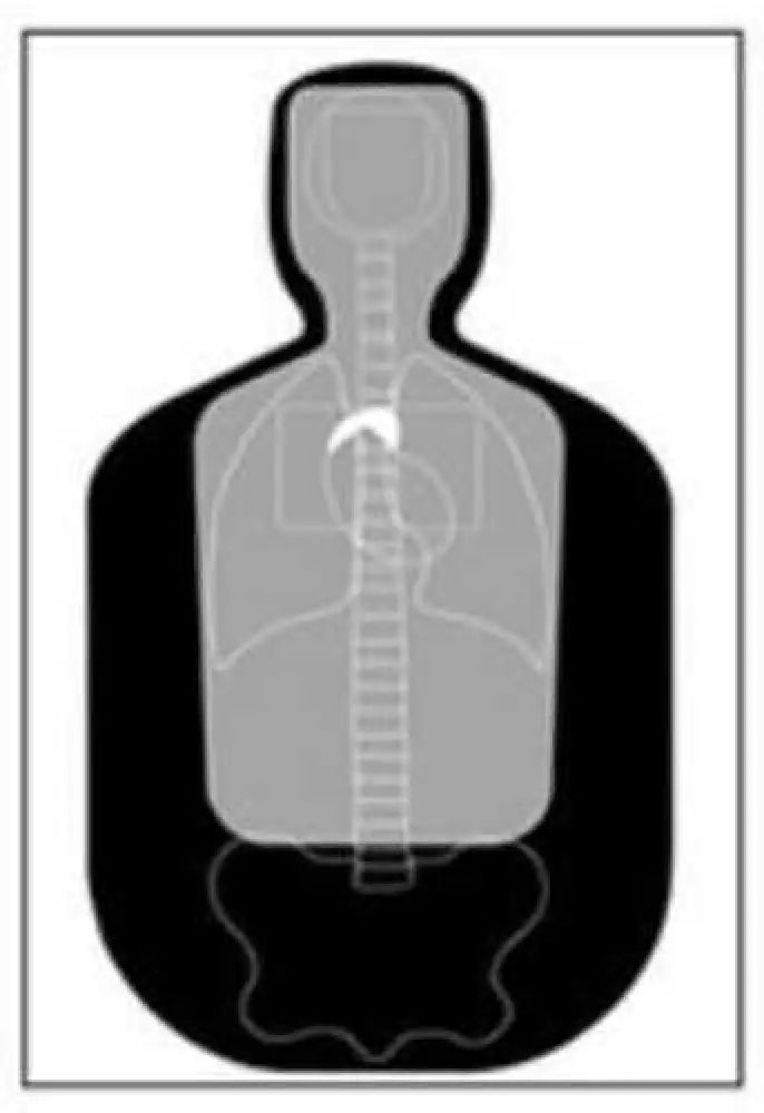 Action Target Inc Ftq19antav2100 Tq-19 Qualification Hanging Paper 23’’ x 35’’ Silhouette/vitals Black/gray 100