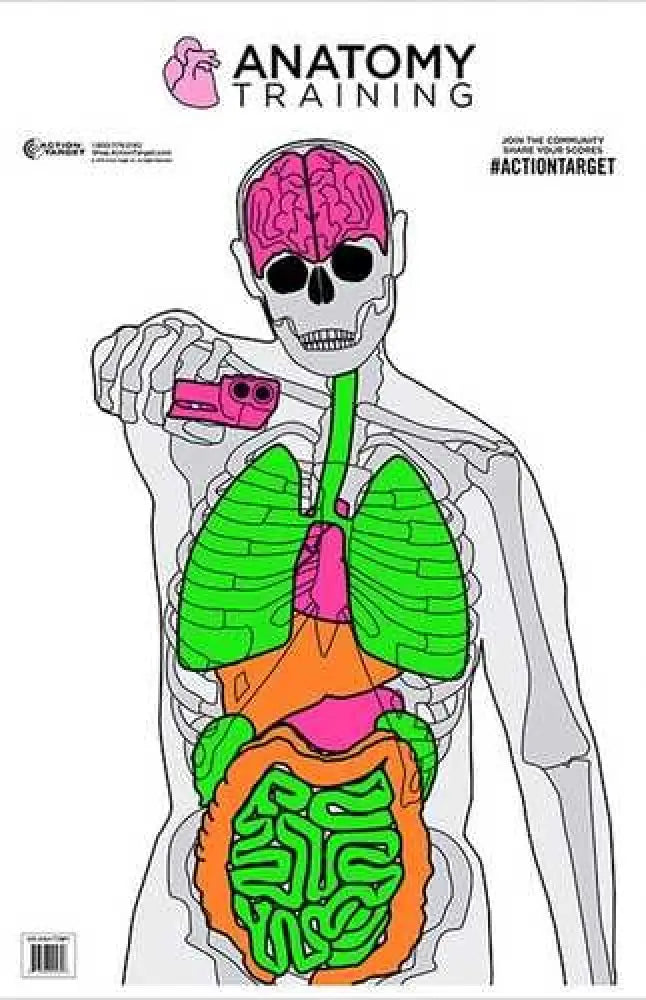 Action Target Inc Gs-anatomy-100 Anatomy Training Paper 23’’ x 35’’ Silhouette/vitals 100 - Gs-anatomy-100