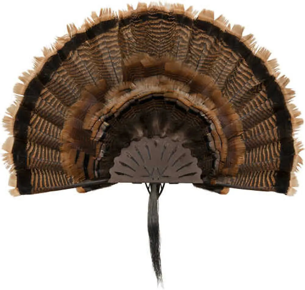 Allen Ez Mount Turkey Fan Display Brown - 7238