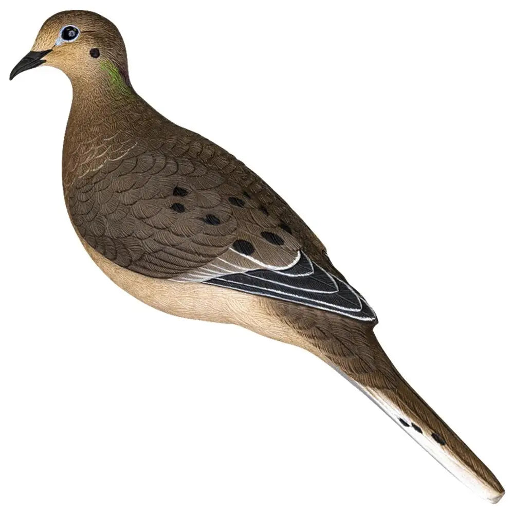 Avian Dove Decoys Avian Apx Full Body 6/ct Buy at Faith and Freedom Outdoors