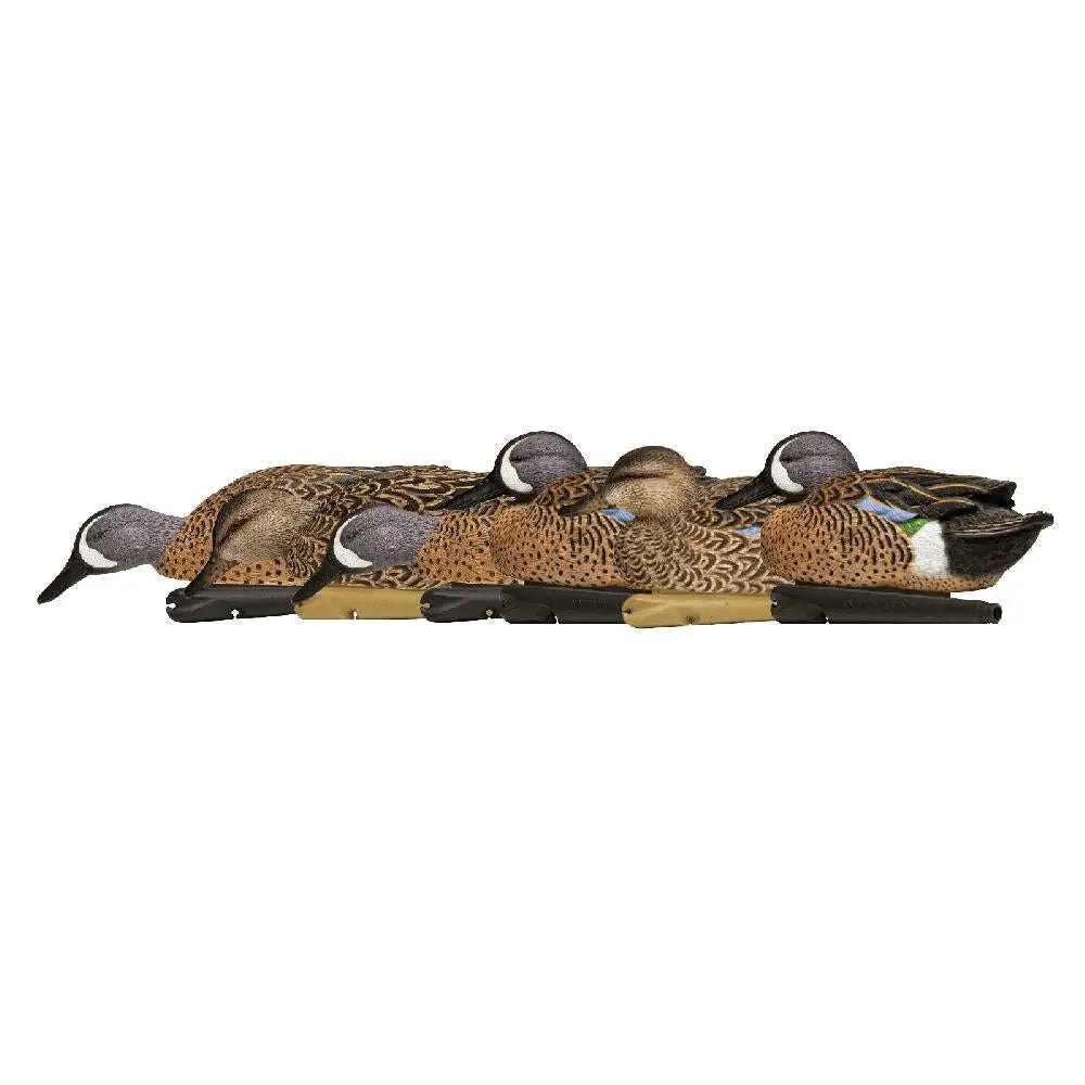 Avian Duck Decoys Avian-x Top Flight Blue Wing Teal - 6/ct Buy at Faith and Freedom Outdoors