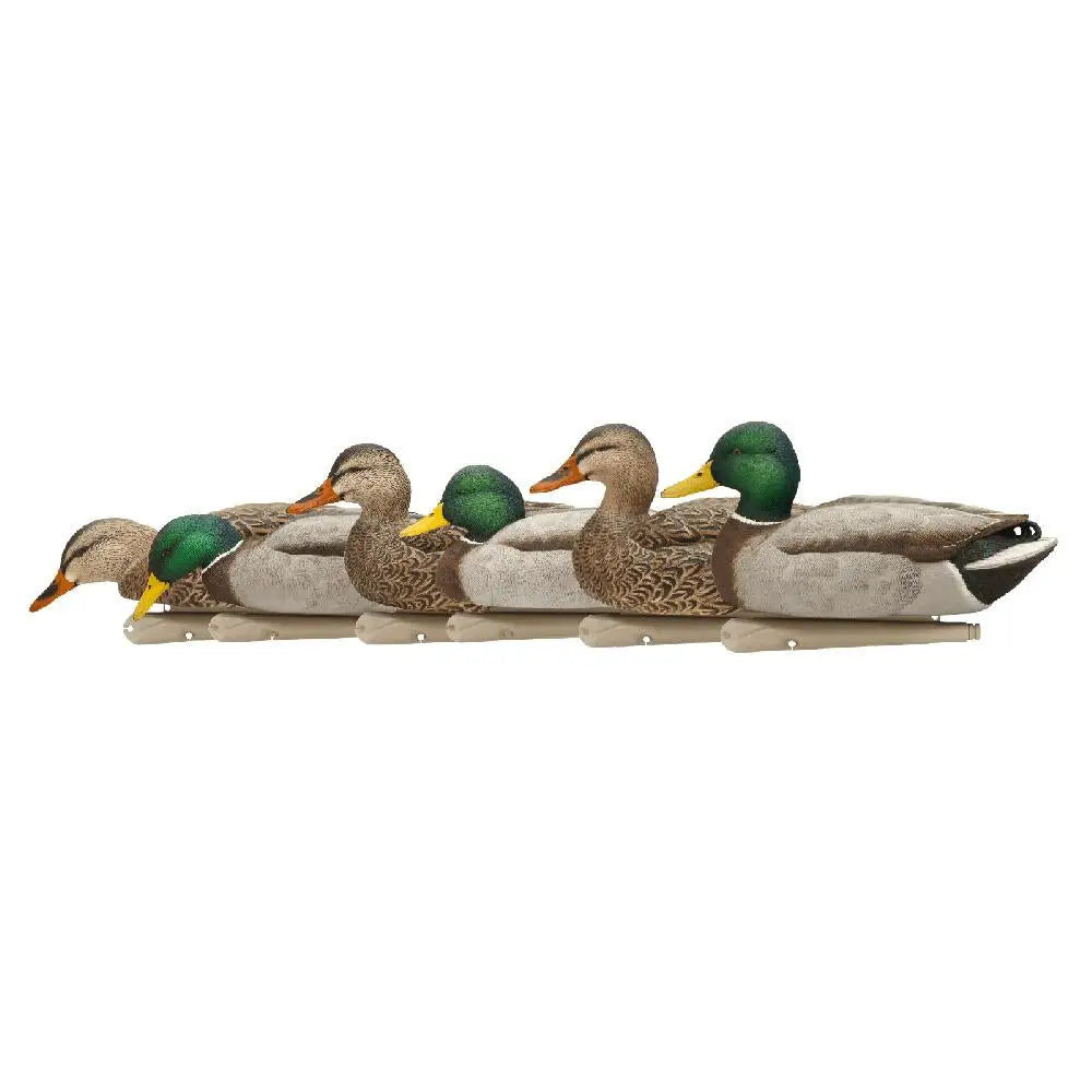Avian Duck Decoys Avian-x Top Flight Fusion Pack - Mallard 6/ct Buy at Faith and Freedom Outdoors