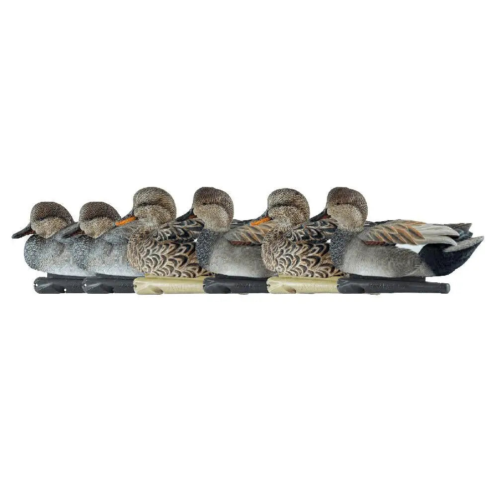 Avian Duck Decoys Avian-x Top Flight Gadwall 6/ct Buy at Faith and Freedom Outdoors