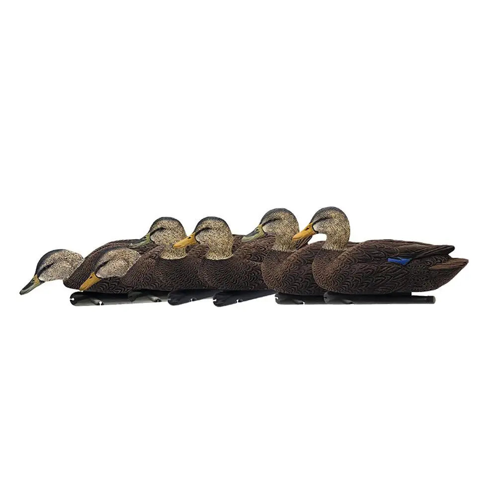Avian Duck Decoys Avian-x Topflight Black Ducks Floating 6/ct Buy at Faith and Freedom Outdoors