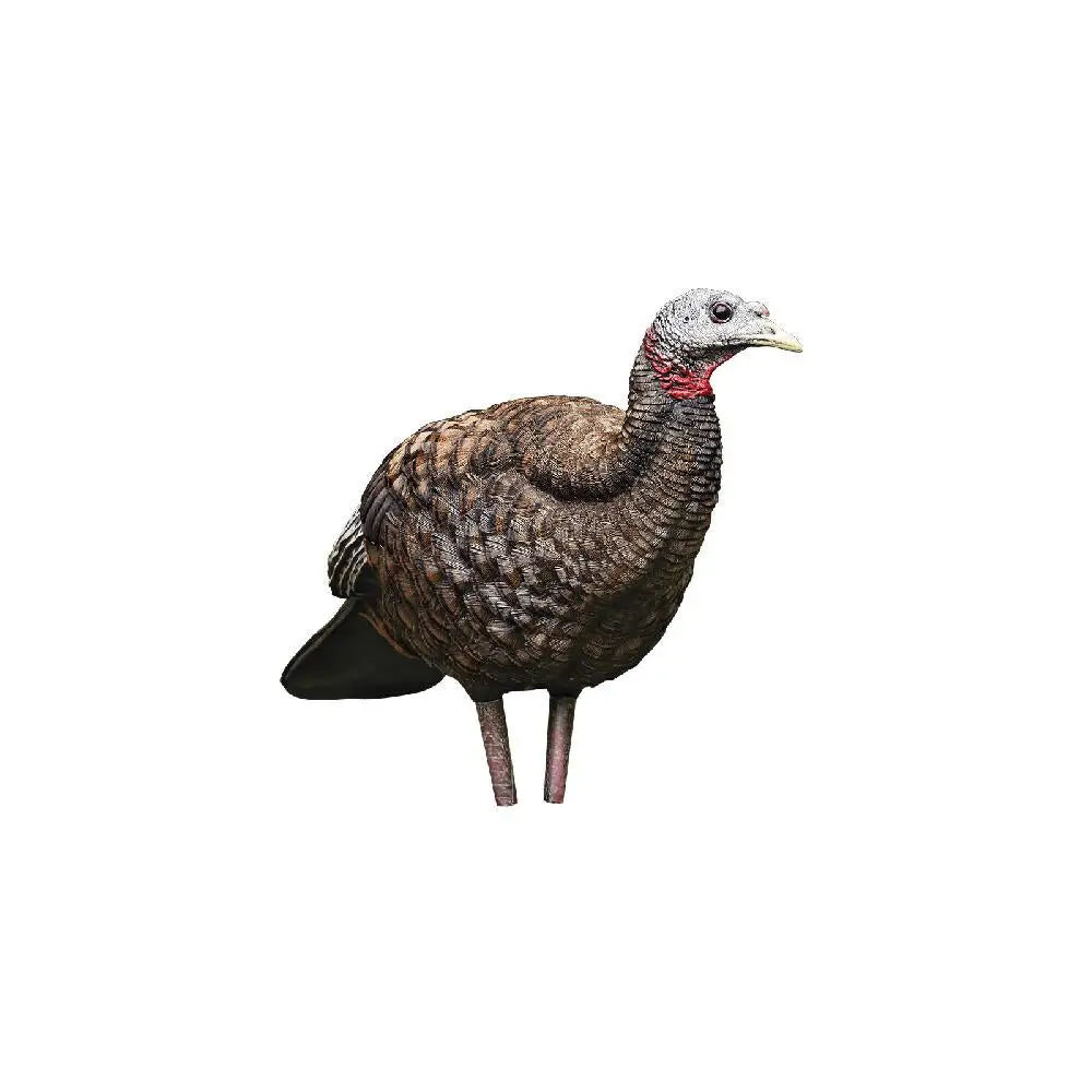 Avian Turkey Decoys|hunting Avian-x Lcd - Breeder Hen Decoy Buy at Faith and Freedom Outdoors