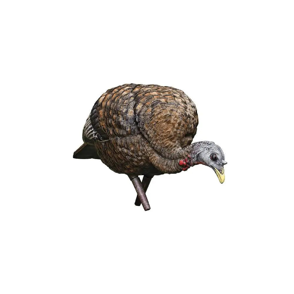 Avian Turkey Decoys|hunting Avian-x Lcd - Feeder Hen Decoy Buy at Faith and Freedom Outdoors