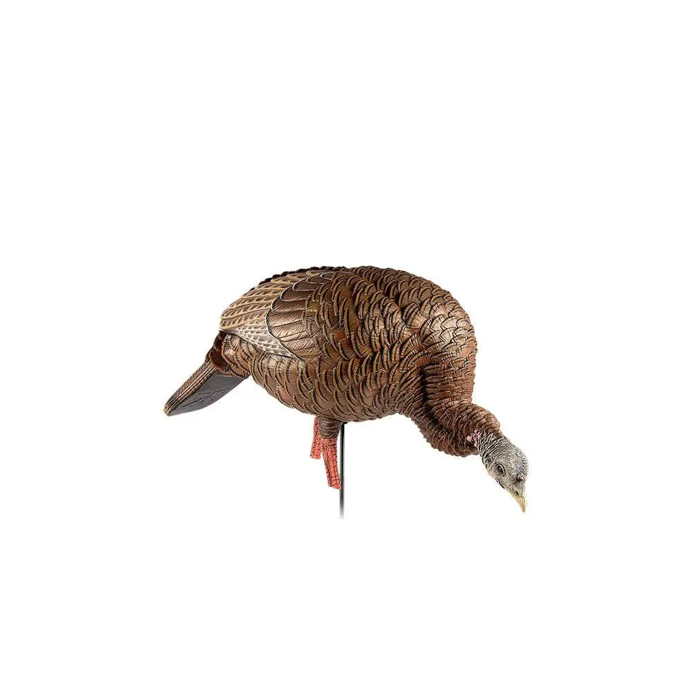 Avian Turkey Decoys Avian-x Hdr Feeding Hen Buy at Faith and Freedom Outdoors