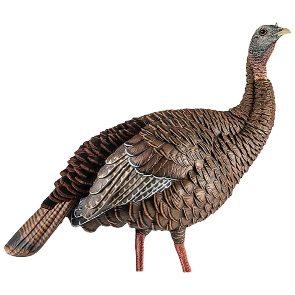 Avian Turkey Decoys Avian-x Hdr Hen Decoy Buy at Faith and Freedom Outdoors