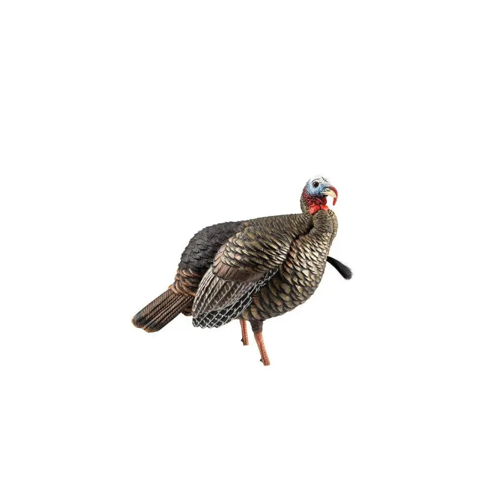 Avian Turkey Decoys Avian-x Hdr Jake Decoy Buy at Faith and Freedom Outdoors