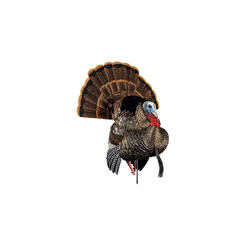 Avian Turkey Decoys Avian-x Hdr Strutter Buy at Faith and Freedom Outdoors