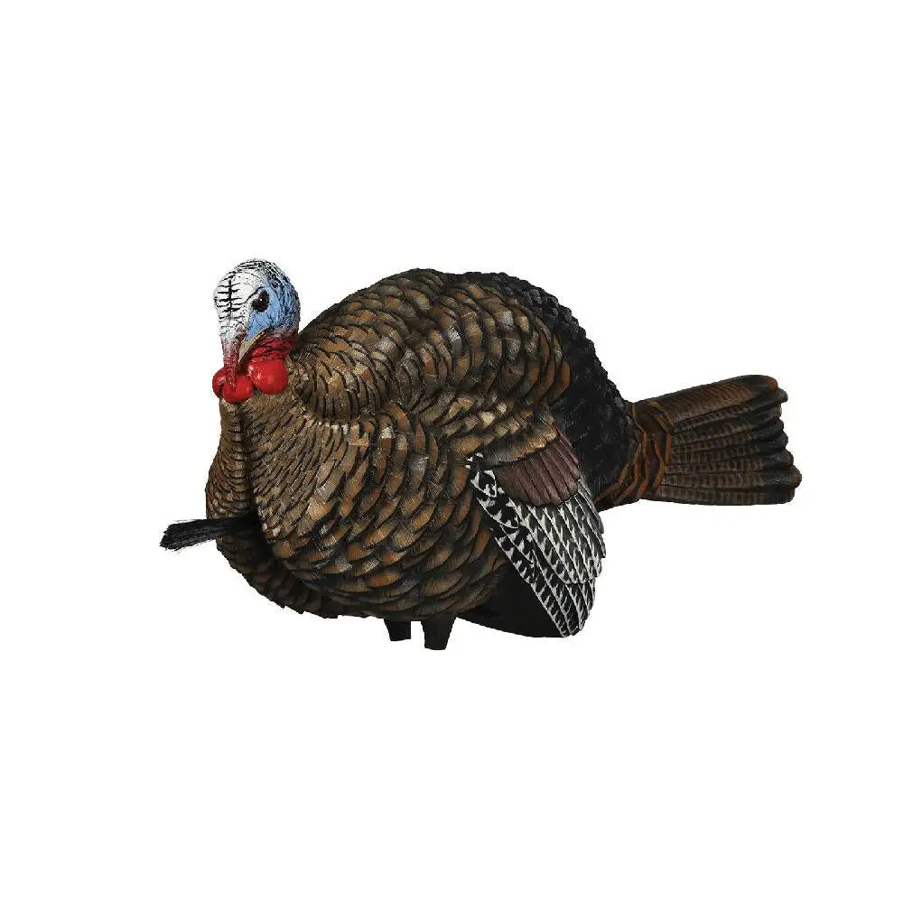 Avian Turkey Decoys Avian-x Lcd - 1/2 Strut Jake Decoy Buy at Faith and Freedom Outdoors