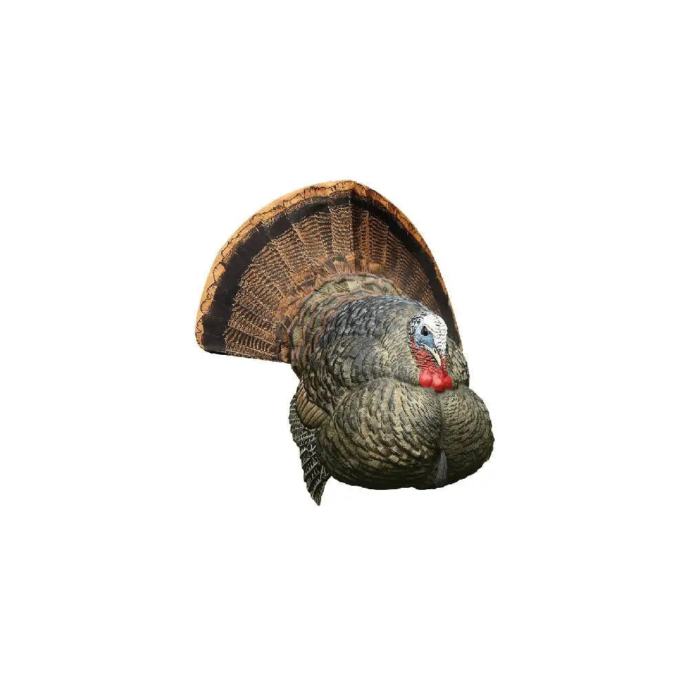 Avian Turkey Decoys Avian-x Lcd Strutter Decoy Buy at Faith and Freedom Outdoors