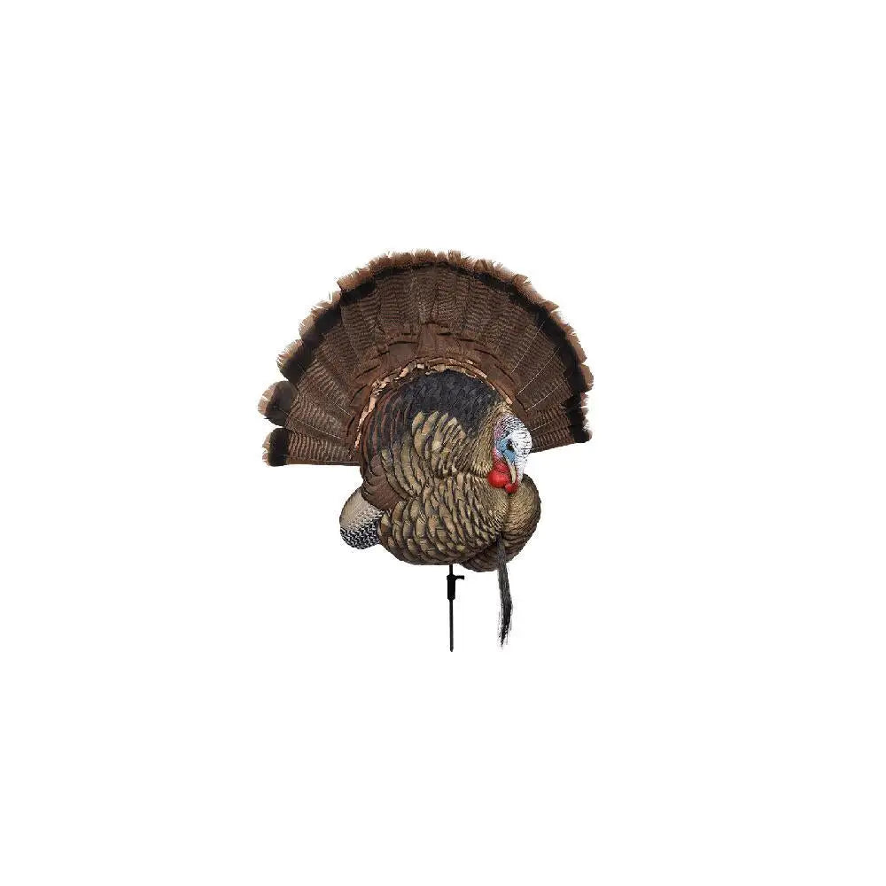 Avian Turkey Decoys Avian-x Trophy Tom Decoy Buy at Faith and Freedom Outdoors
