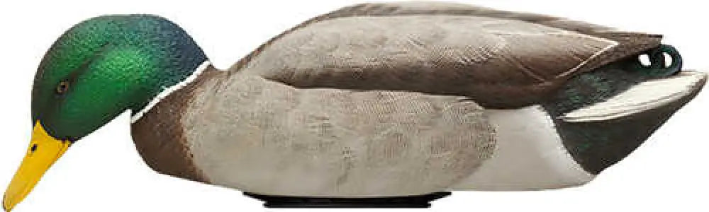 Avian x Power Shaker Mallard Drake Surface Feeder Decoy - Avxpshmdsf