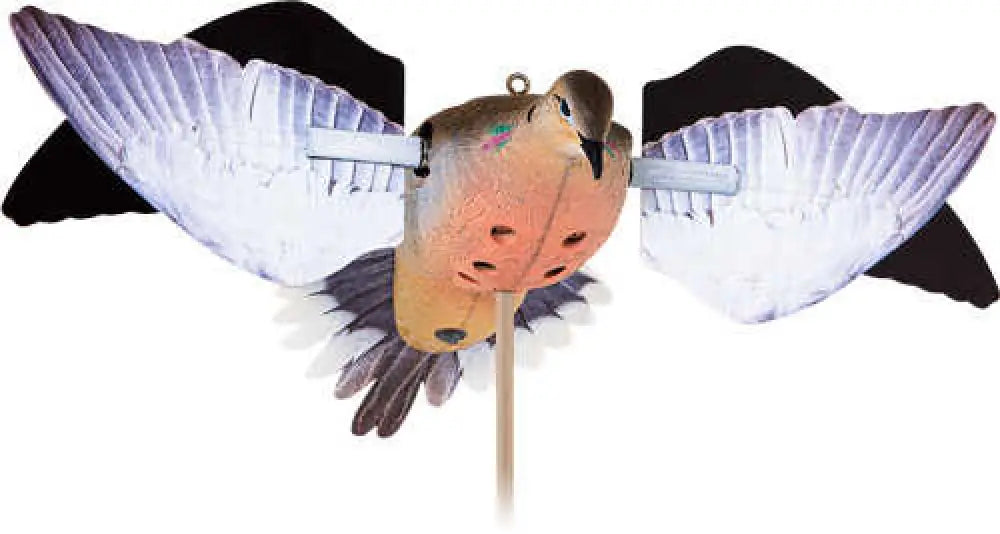 Avian x Spinning Wing Dove Decoy - Avxavxdp102