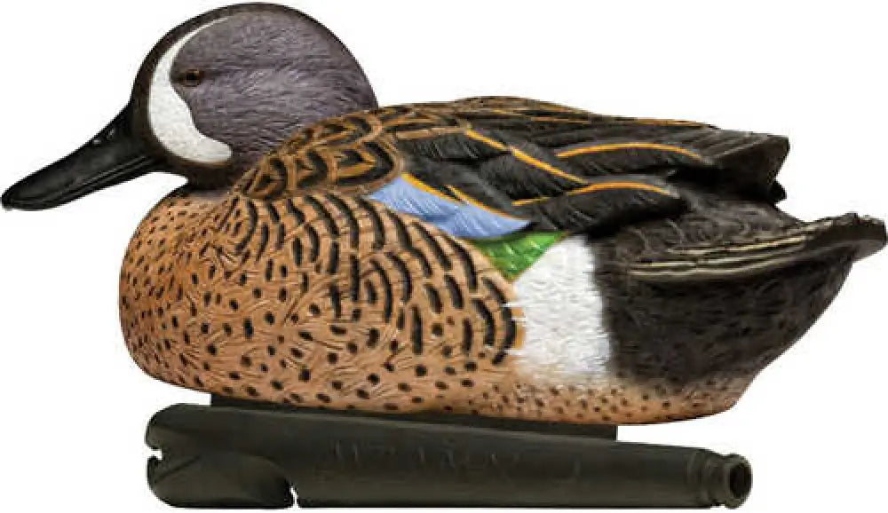 Avianx Top Flight Duck Decoys Blue-winged Teal 6 Pk. - Avx-avx8080
