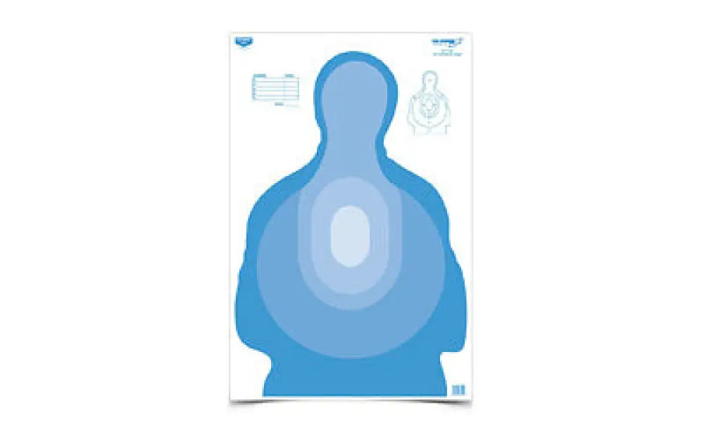 B/c Eze-scorer Trnstnl Target 100-23x35 Buy at Faith and Freedom Outdoors - Paper Targets