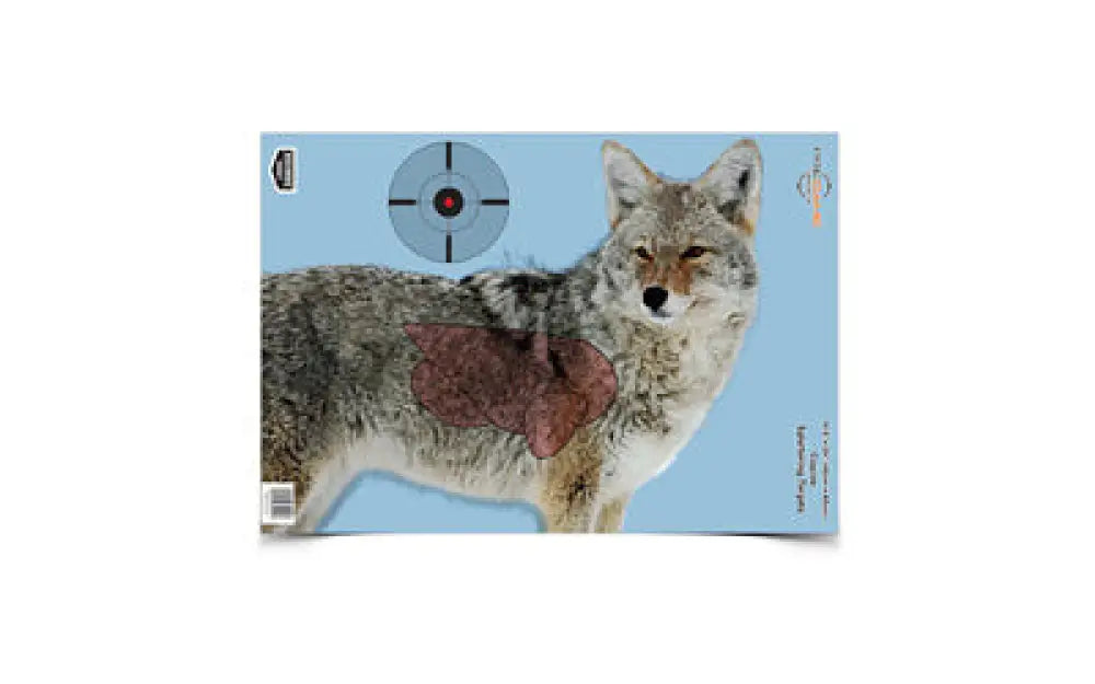 B/c Pregame Coyote Target 3-16.5x24 Buy at Faith and Freedom Outdoors - Paper Targets