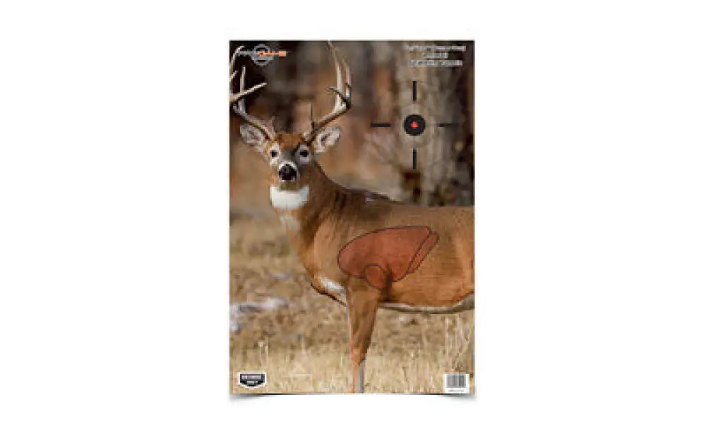 B/c Pregame Deer Target 3-16.5x24 Buy at Faith and Freedom Outdoors - Paper Targets