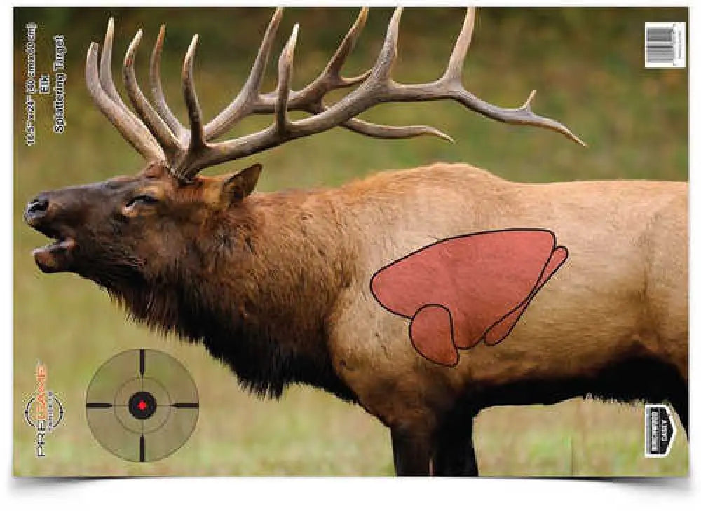 Birchwood Casey Bc-35404 Pregame Elk Target Paper 16.50’’ x 24’’ 3 Per Pkg - Bc-35404