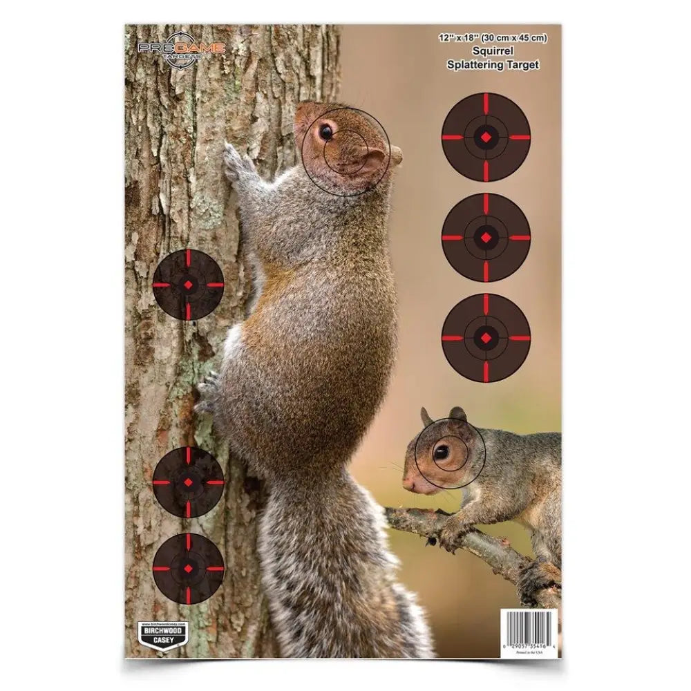 Birchwood Casey Paper Targets Pregame Target - 12’’x18’’ Squirrel 8 Pack Buy at Faith and Freedom Outdoors