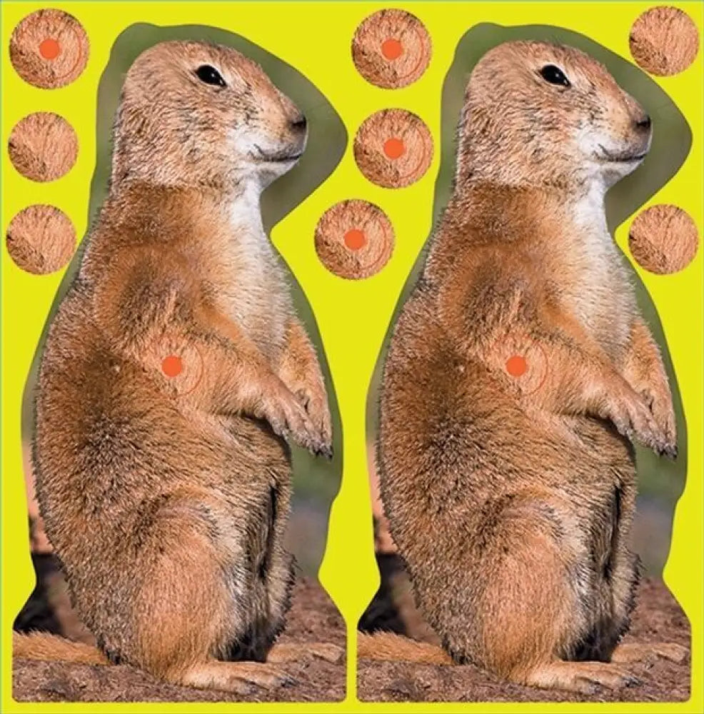 Birchwood Casey Paper Targets Shoot-n-c Prairie Chuck Target - 8’’ 12 /pack Buy at Faith and Freedom Outdoors