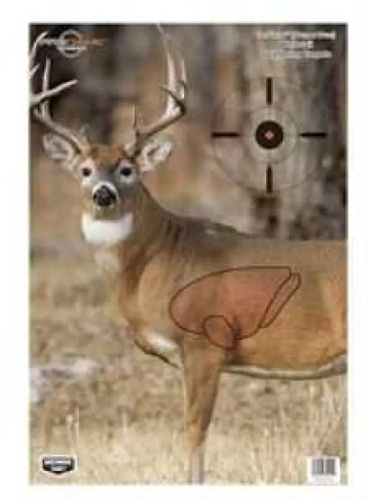 Birchwood Casey Pregame Target with Visible Vitals Deer 16.5x24 3 Targets 35401